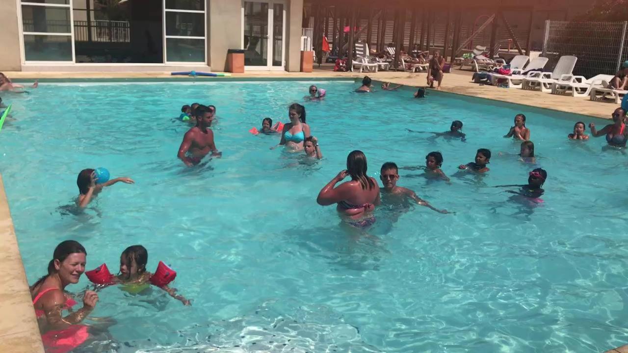 45 M2 Dans Parc Arbore Avec Piscine *